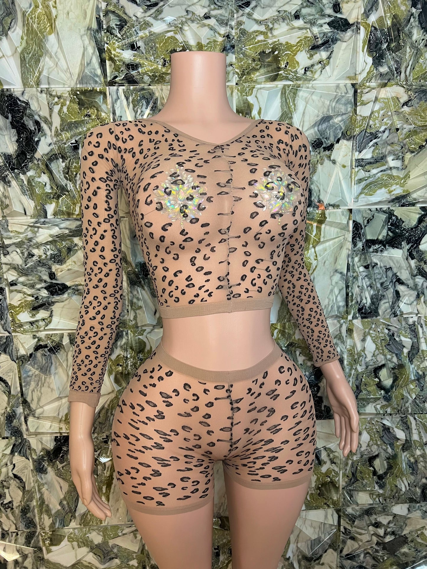 Safari