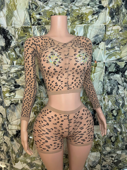 Safari