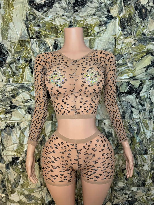 Safari