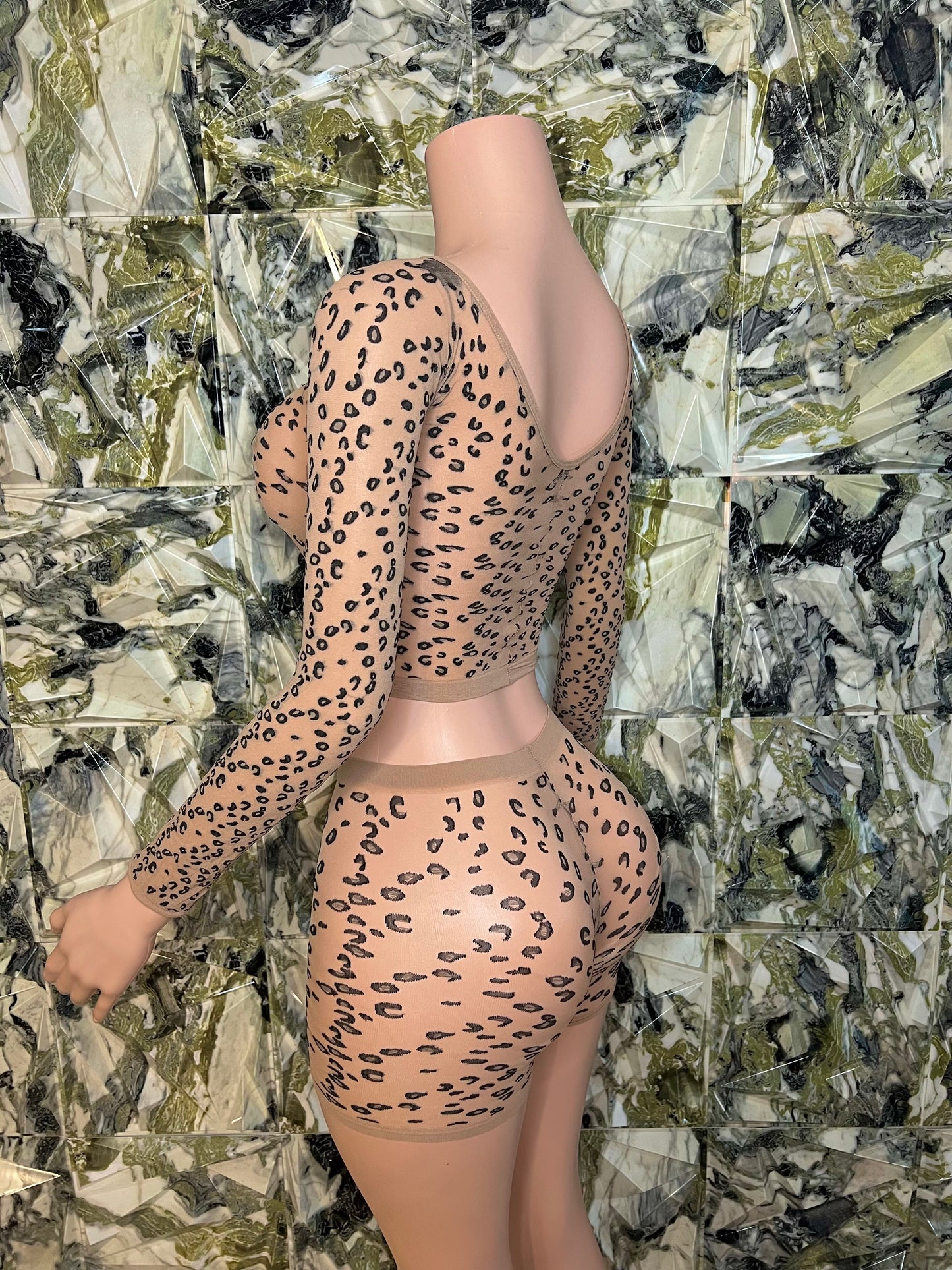 Safari
